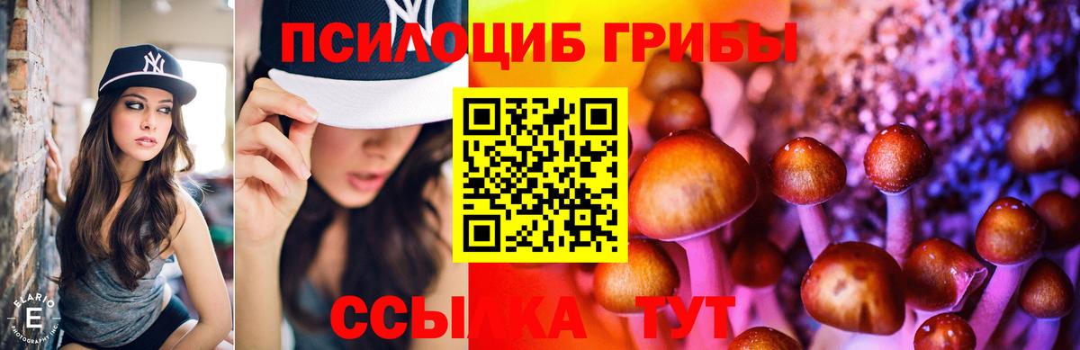 Псилоцибиновые грибы мухоморы  Псилоцибиновые грибы мухоморы  Вход с VPN  Кстово 